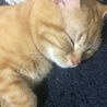remi201210