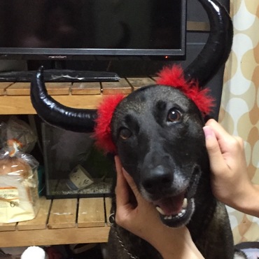 の写真