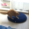 えなか