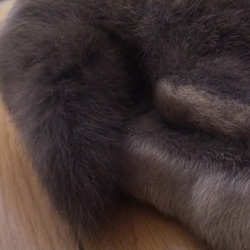 「えっ！違ったの？？」サムネイル2