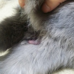 「えっ！違ったの？？」サムネイル3