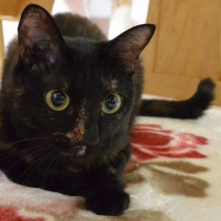 お返事してくれます♪