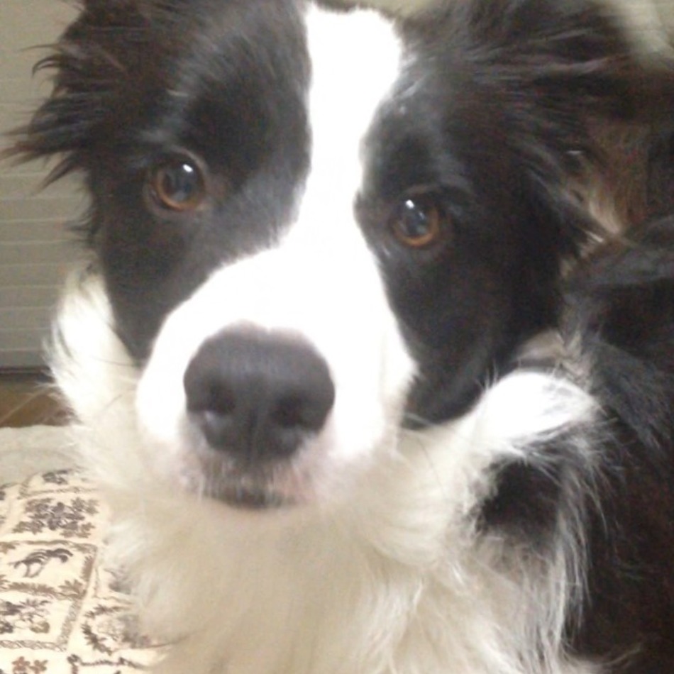 霧斗のカバー写真