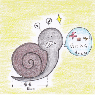 チビクロでんでん『ココナッツ』　ヨロシク！