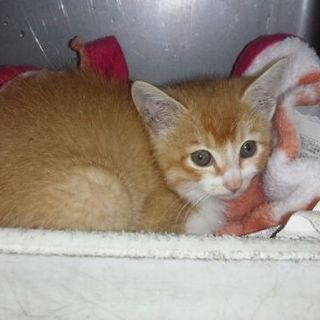 ありがとうございました