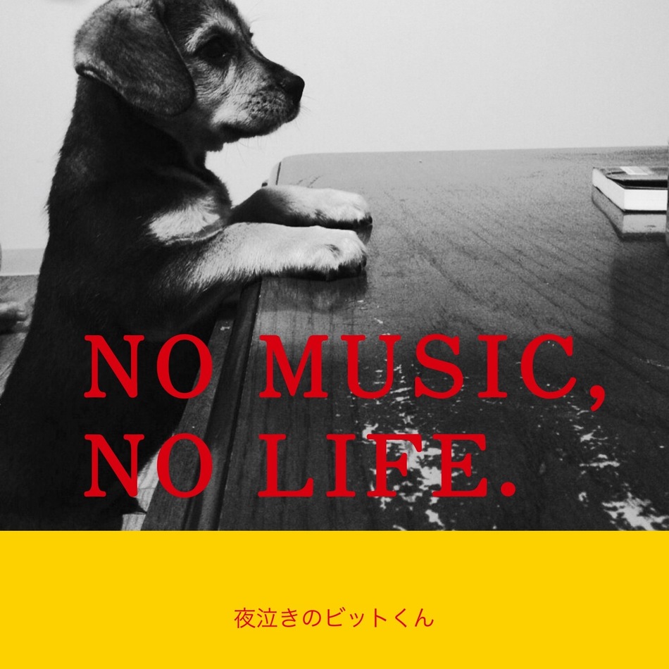 ビットのカバー写真