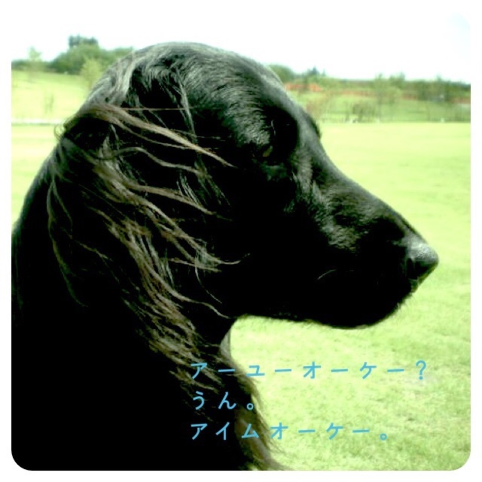 BUBのカバー写真