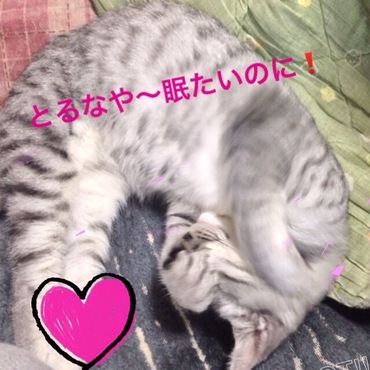 の写真