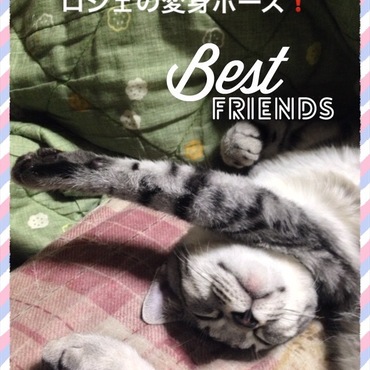 の写真