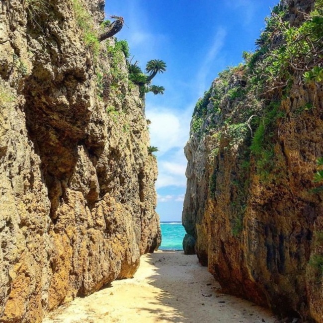 ガビミュウモグのカバー写真