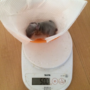 生後2日目です。