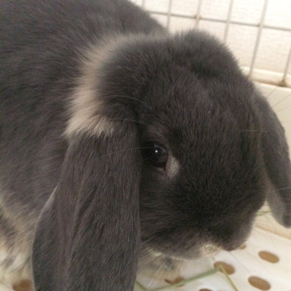 赤ちゃんのカバー写真