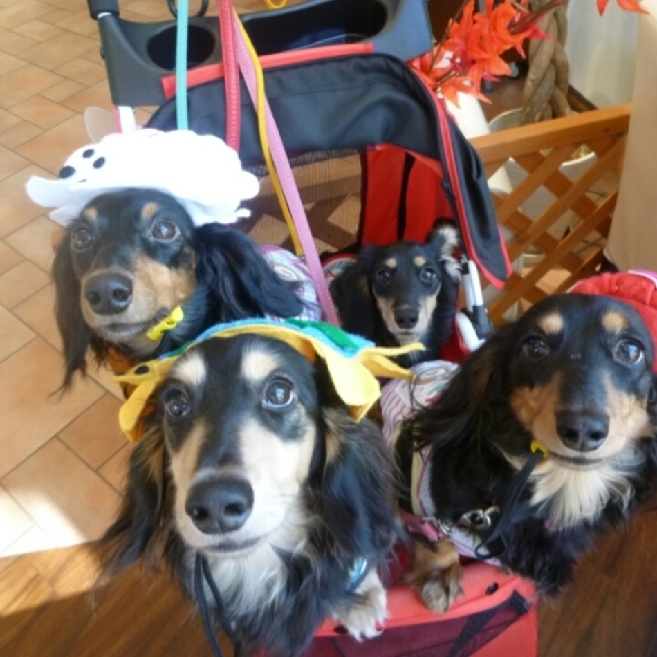 天空 soraのカバー写真