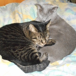 まあるくなってネンネ