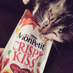 遙さんの去勢手術！