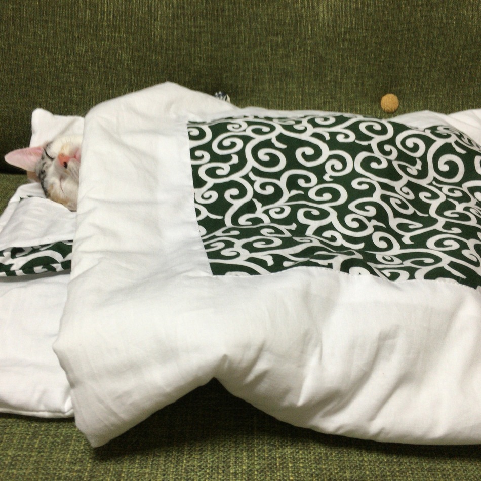 うなぎのカバー写真