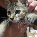 里親募集ですm(_ _)m