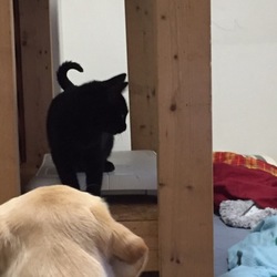 「初めまして♪ 僕のおとうと？」サムネイル1