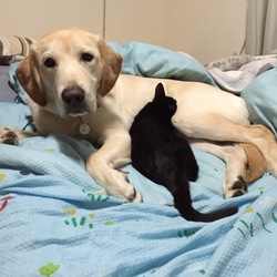 「初めまして♪ 僕のおとうと？」サムネイル3