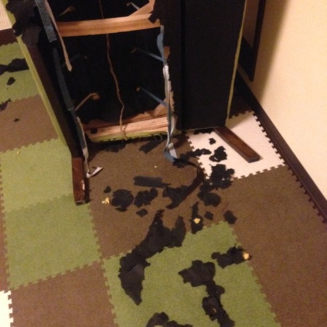 sutorenのカバー写真