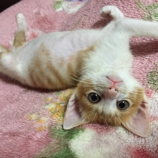 甘えたな兄妹♡