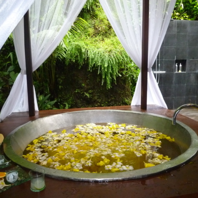 バリジェンヌのカバー写真