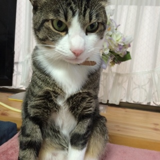 甘えん坊な男の子です！