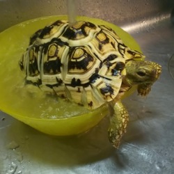 「いい湯だな～」サムネイル1