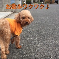 カラー外しました