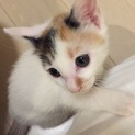 大切にして下さる方に