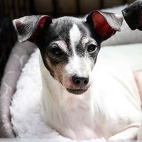 透風（すきっぷ）