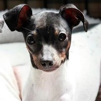 寿々（じゅじゅ）