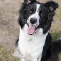 月渚（つなぎ）