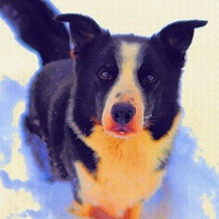 羽流（うりゅう）