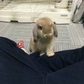 里親さん、決定しました！