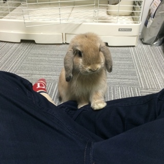 里親さん、決定しました！