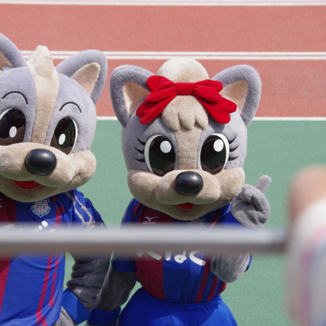 レーザーバックのカバー写真