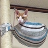 高いところ大好き〜♪