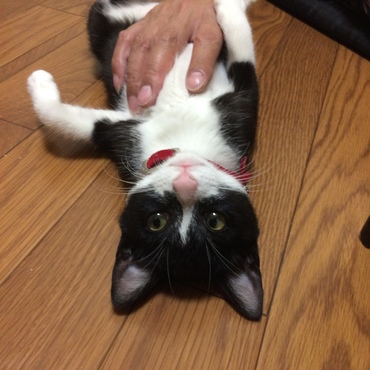 固まっちゃった(^_^;)