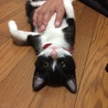 固まっちゃった(^_^;)