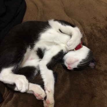 んんん〜(_ _).｡o○