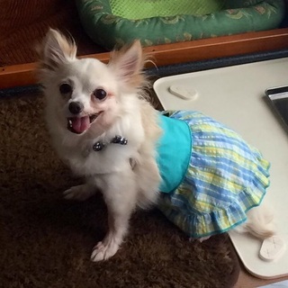 ☆穏やかなマナです☆