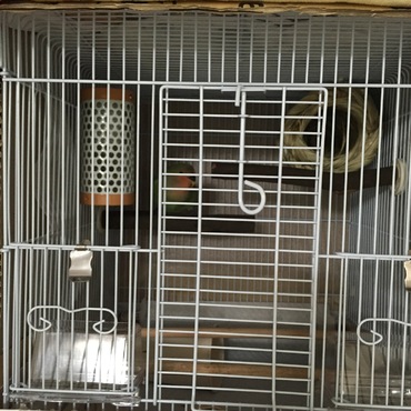 平成27年11月９日ケージの模様替え大人のレイアウト