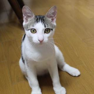 性格優良児！「いくら」ちゃん