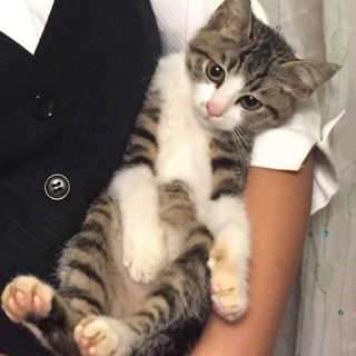 すりすり大好き❤︎名前はまだニャイ