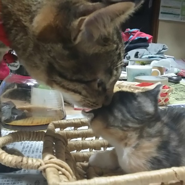 ちくままのカバー写真