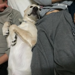 「僕も！僕も！」サムネイル1