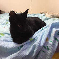 「僕も！僕も！」サムネイル2