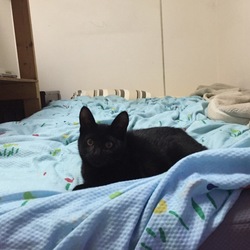 「僕も！僕も！」サムネイル3