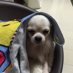 お手ができた日